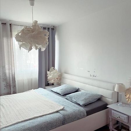 Bel Appartement Near Bale Mulhouse Airport Сен-Луи Экстерьер фото