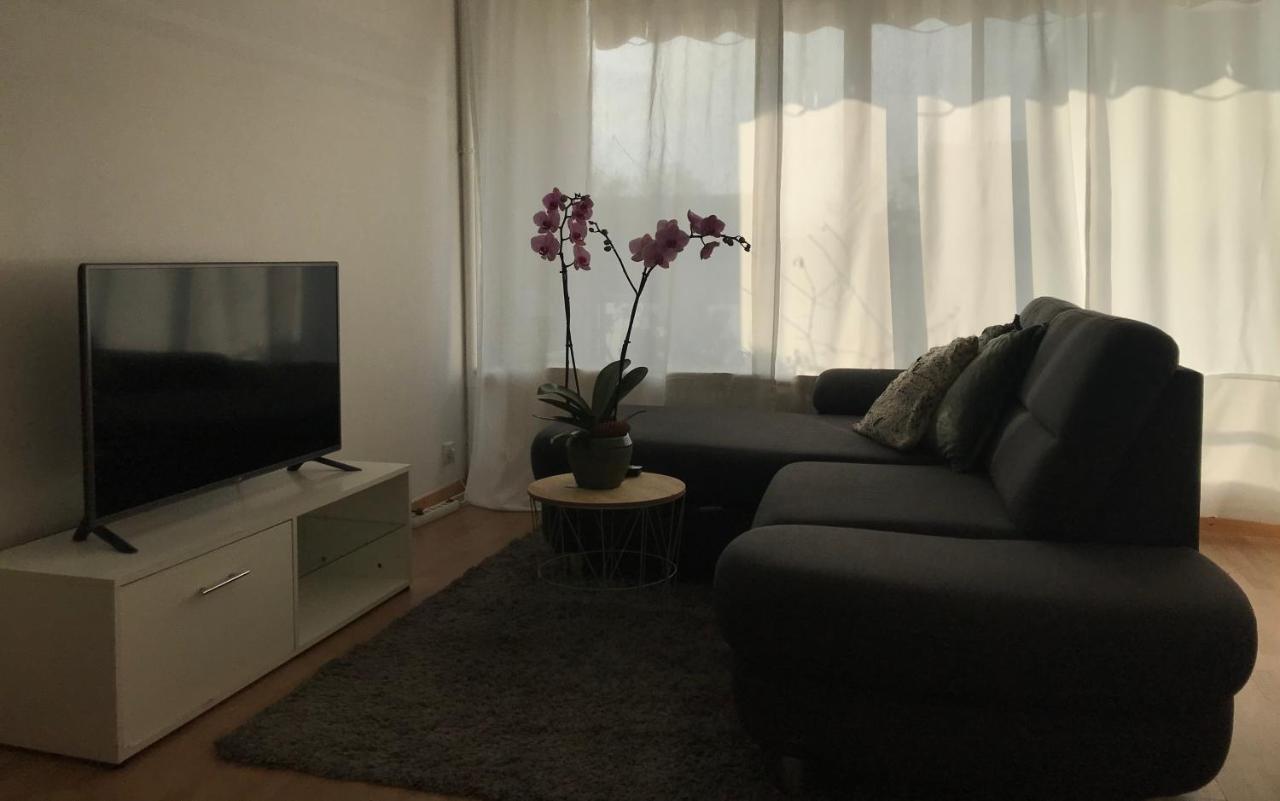 Bel Appartement Near Bale Mulhouse Airport Сен-Луи Экстерьер фото