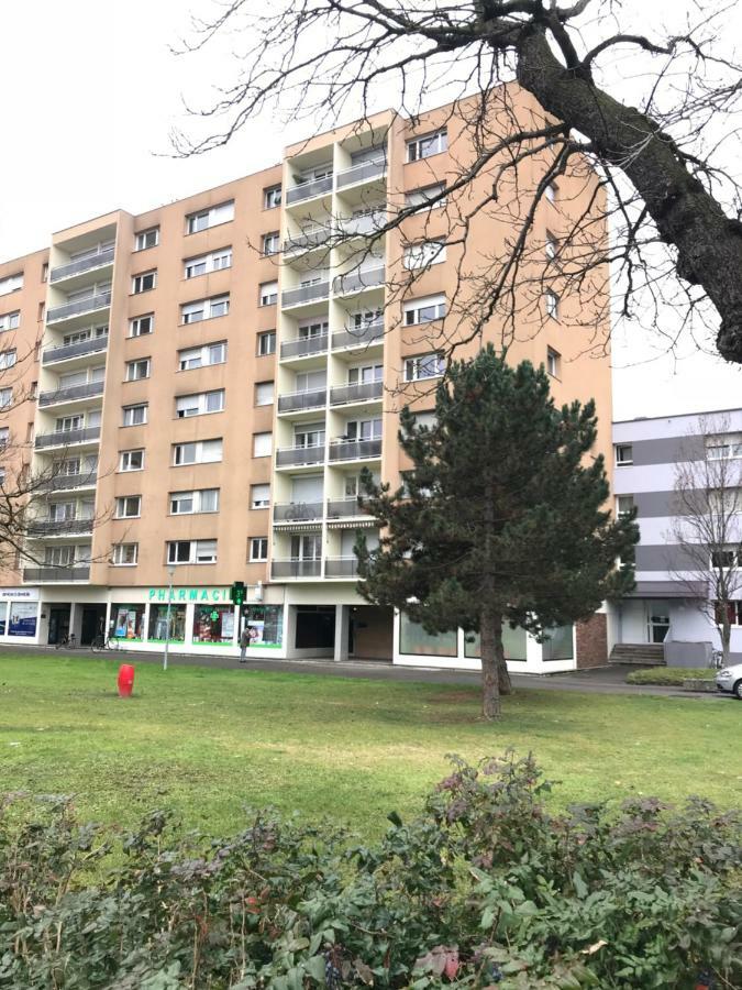 Bel Appartement Near Bale Mulhouse Airport Сен-Луи Экстерьер фото