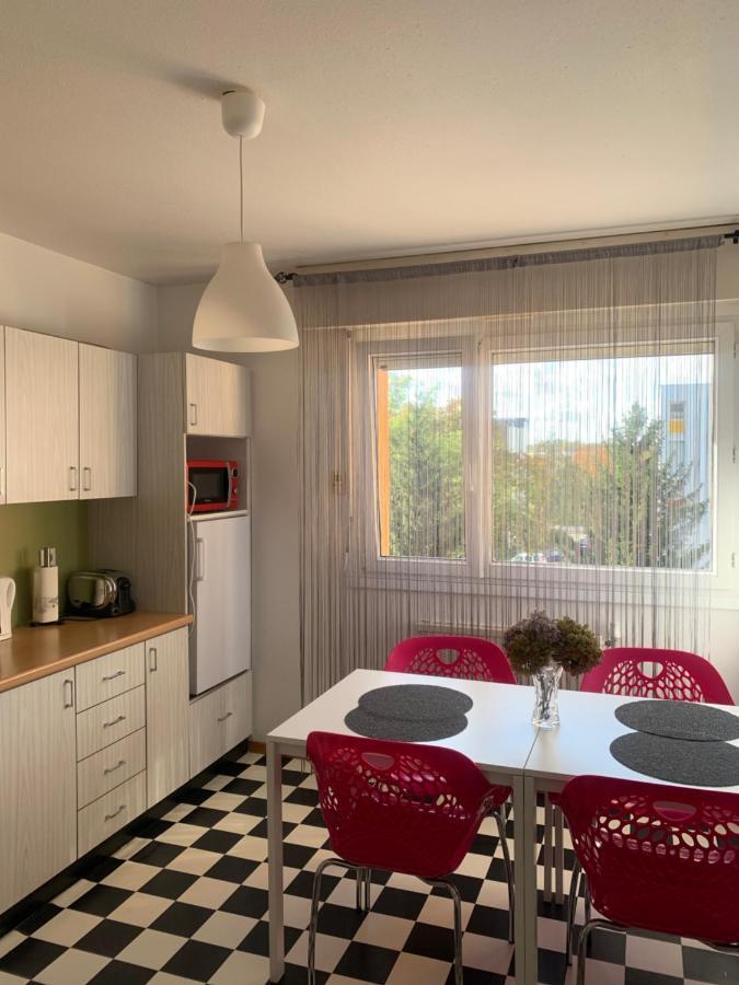 Bel Appartement Near Bale Mulhouse Airport Сен-Луи Экстерьер фото